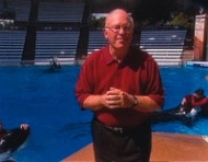 Whale Done! In Action