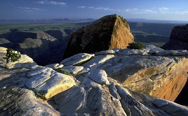 Celebrate What's Right With the World, Updated Version