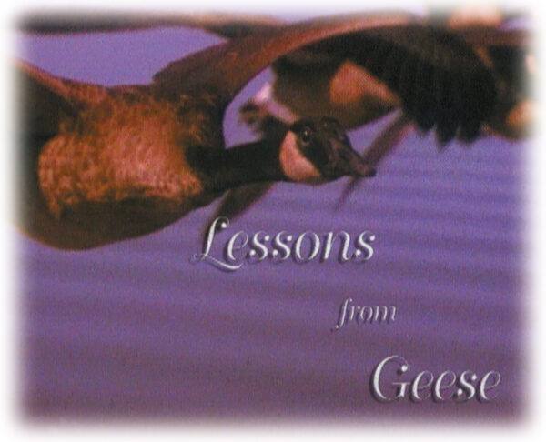 Lessons from Geese